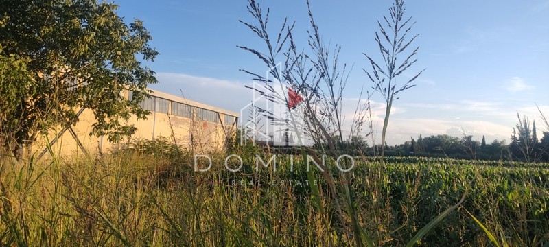 Αγροτεμάχια 11.625 τ.μ. προς πώληση, Νέα Μαγνησία Εχεδώρου