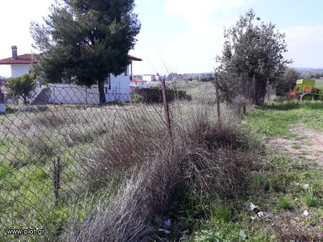 Οικόπεδο 670τ.μ. για πώληση-Σιθωνία » Νικήτη