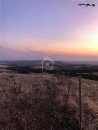 Αγροτεμάχια 5.700 τ.μ. προς πώληση