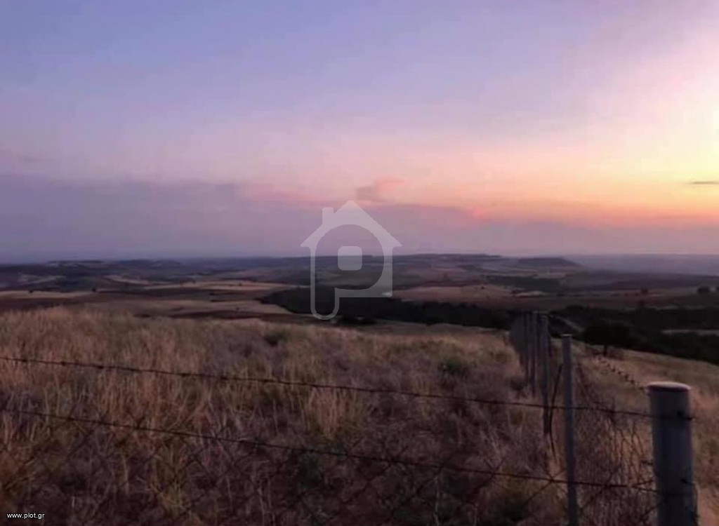 Αγροτεμάχια 5.700 τ.μ. πρός πώληση, Θεσσαλονίκη - Περιφ/Κοί Δήμοι, Θέρμη