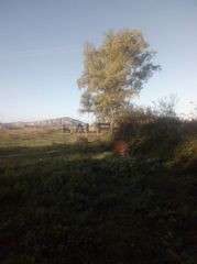 Οικόπεδο 64.523 τ.μ. προς πώληση, Κέντρο Πύλου-thumb-1