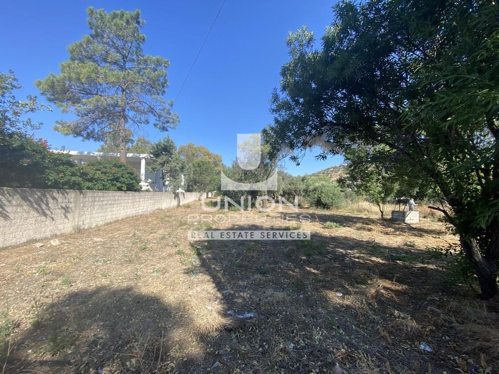 Οικόπεδο 1.180 τ.μ. προς πώληση, Λαγονήσι