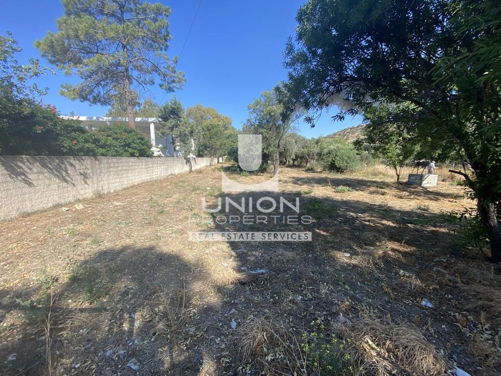 Οικόπεδο 1.180 τ.μ. προς πώληση, Λαγονήσι
