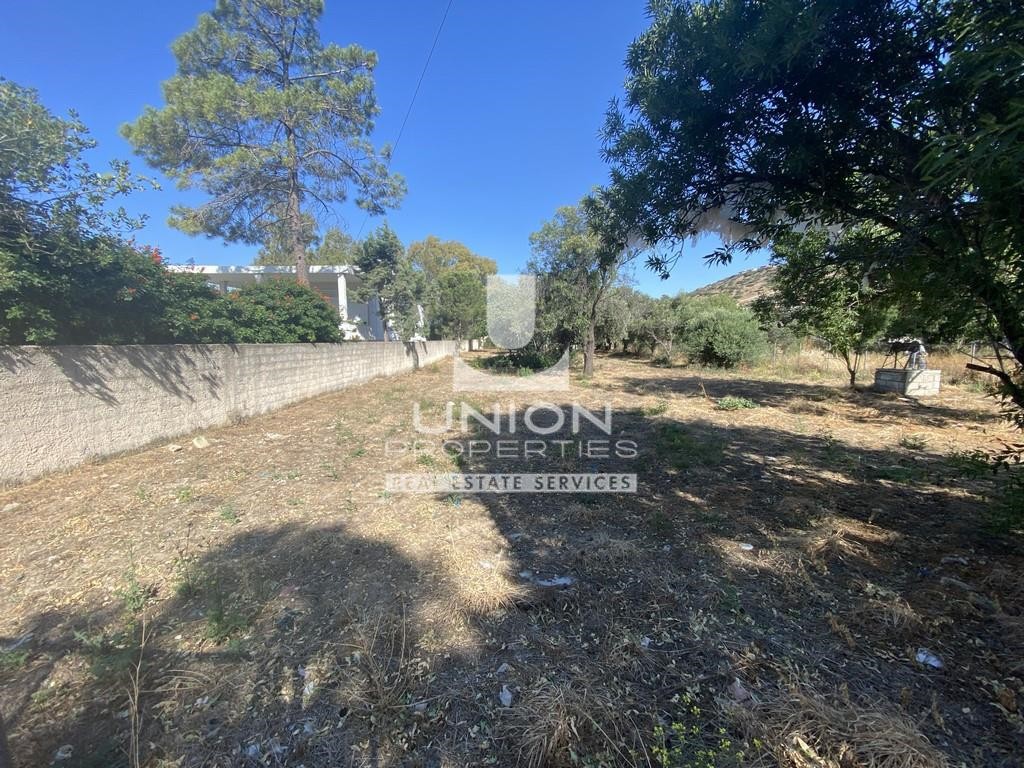 Οικόπεδο 1.180 τ.μ. προς πώληση, Λαγονήσι