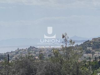 Αγροτεμάχια 4.010 τ.μ. προς πώληση