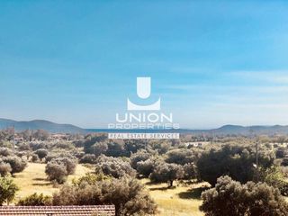 Μονοκατοικία 415 τ.μ. για πώληση