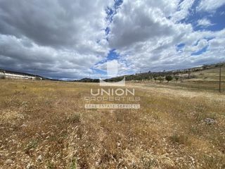 Αγροτεμάχια 4.450 τ.μ. προς πώληση