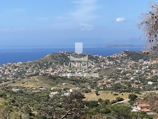 Αγροτεμάχια 5.600 τ.μ. προς πώληση