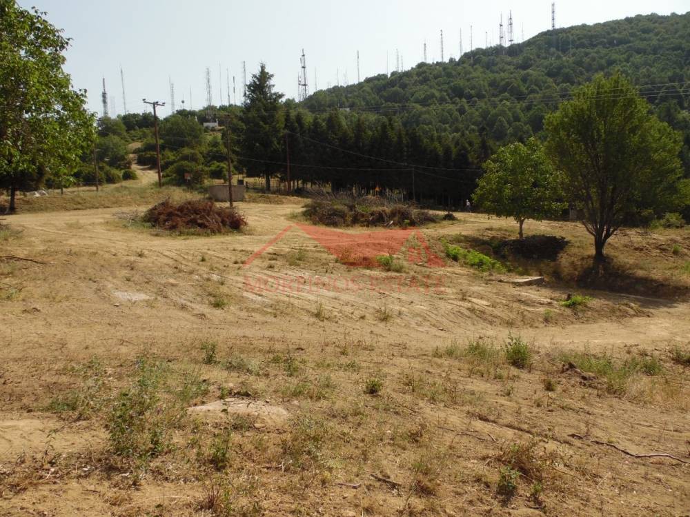 Αγροτεμάχια 5.493 τ.μ. πρός πώληση, Θεσσαλονίκη - Περιφ/Κοί Δήμοι, Χορτιάτης