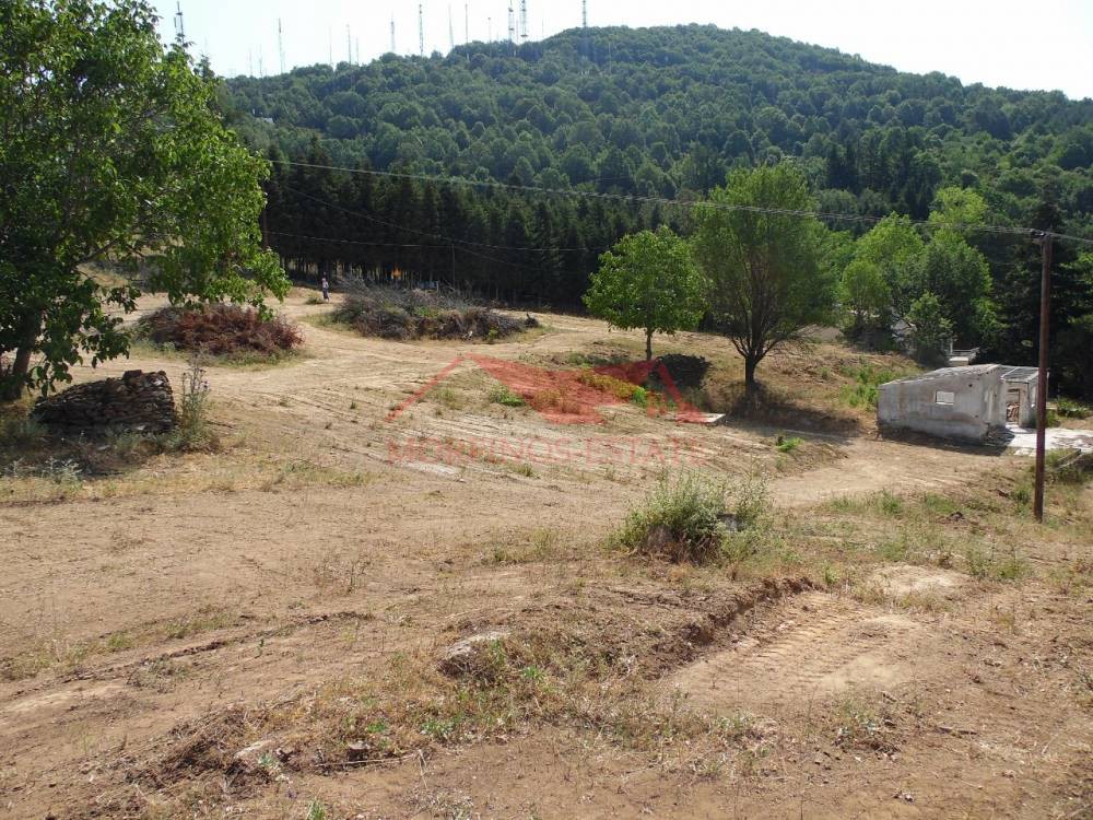 Αγροτεμάχια 5.493 τ.μ. πρός πώληση, Θεσσαλονίκη - Περιφ/Κοί Δήμοι, Χορτιάτης