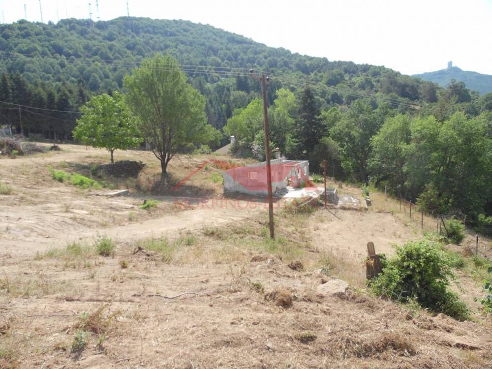 Αγροτεμάχια 5.493 τ.μ. πρός πώληση, Θεσσαλονίκη - Περιφ/Κοί Δήμοι, Χορτιάτης