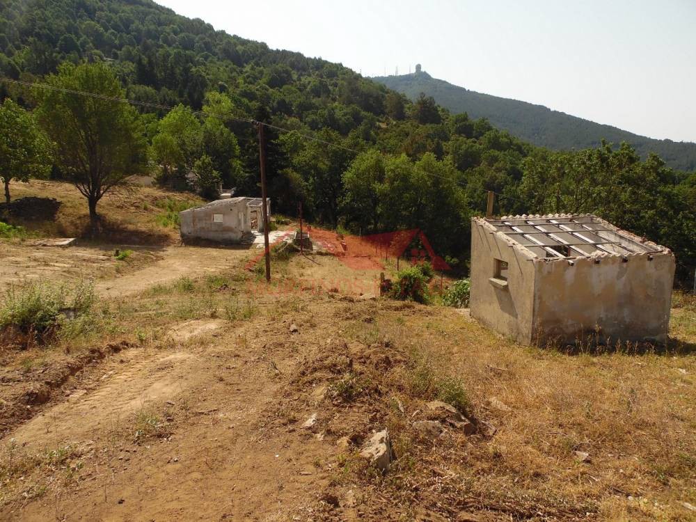 Αγροτεμάχια 5.493 τ.μ. πρός πώληση, Θεσσαλονίκη - Περιφ/Κοί Δήμοι, Χορτιάτης