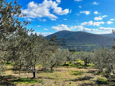 Parcel 9.200sqm for sale-Asklipieio » Ligourio
