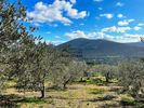 Parcel 9.200sqm for sale-Asklipieio » Ligourio