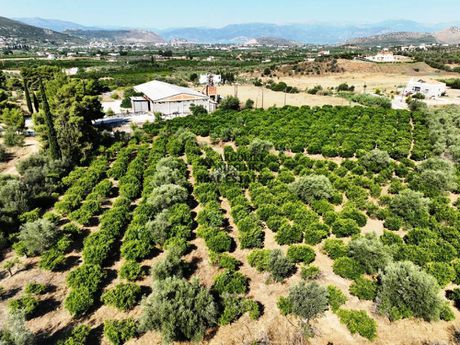 Parcel 6.417sqm for sale-Nea Tirintha » Agios Adrianos
