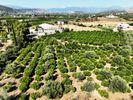 Αγροτεμάχια 6.417τ.μ. για πώληση-Νέα τίρυνθα » Άγιος αδριανός