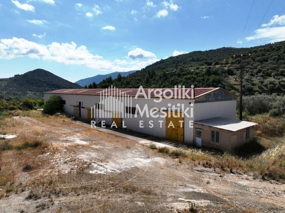Industrial space 746 sqm for sale, Argolis, Asklipieio