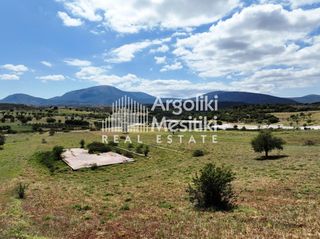 Αγροτεμάχια 13.240 τ.μ. για πώληση, Αργολίδα, Επίδαυρος-thumb-23