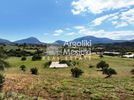Parcel 13.240sqm for sale-Epidavros » Tracheia
