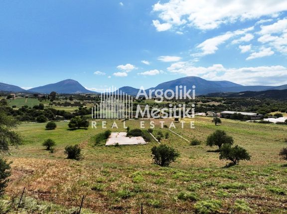 Αγροτεμάχια 13.240 τ.μ. για πώληση, Αργολίδα, Επίδαυρος