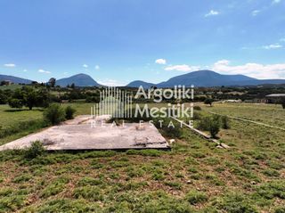 Αγροτεμάχια 13.240 τ.μ. για πώληση, Αργολίδα, Επίδαυρος-thumb-6