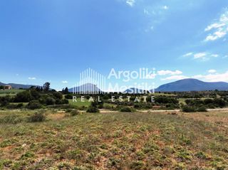 Αγροτεμάχια 13.240 τ.μ. για πώληση, Αργολίδα, Επίδαυρος-thumb-12
