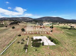Αγροτεμάχια 13.240 τ.μ. για πώληση, Αργολίδα, Επίδαυρος-thumb-8