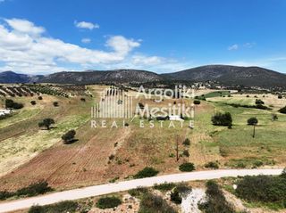Αγροτεμάχια 13.240 τ.μ. για πώληση, Αργολίδα, Επίδαυρος-thumb-10