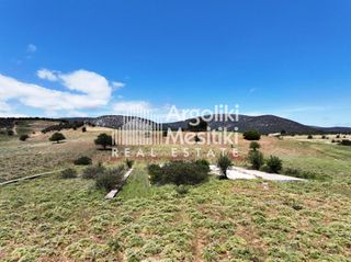 Αγροτεμάχια 13.240 τ.μ. για πώληση, Αργολίδα, Επίδαυρος-thumb-19