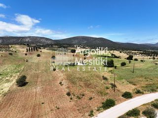 Αγροτεμάχια 13.240 τ.μ. για πώληση, Αργολίδα, Επίδαυρος-thumb-11