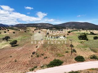 Αγροτεμάχια 13.240 τ.μ. για πώληση, Αργολίδα, Επίδαυρος-thumb-7