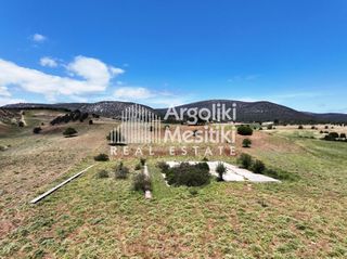 Αγροτεμάχια 13.240 τ.μ. για πώληση, Αργολίδα, Επίδαυρος-thumb-13