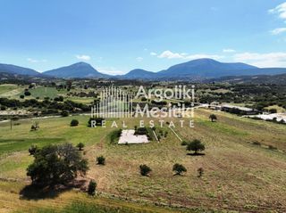 Αγροτεμάχια 13.240 τ.μ. για πώληση, Αργολίδα, Επίδαυρος-thumb-3