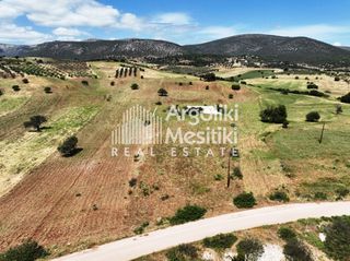 Αγροτεμάχια 13.240 τ.μ. για πώληση, Αργολίδα, Επίδαυρος-thumb-18