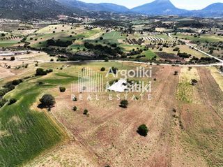 Αγροτεμάχια 13.240 τ.μ. για πώληση, Αργολίδα, Επίδαυρος-thumb-17