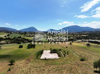 Αγροτεμάχια 13.240 τ.μ. για πώληση, Αργολίδα, Επίδαυρος-thumb-20
