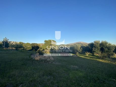 Οικόπεδο 1.300 τ.μ. για πώληση