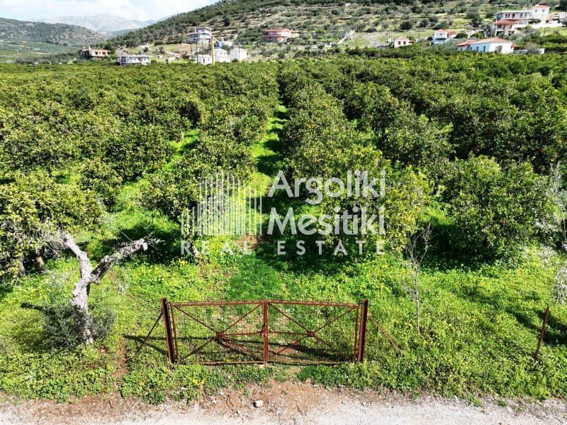 Αγροτεμάχια 5.050 τ.μ. πρός πώληση, Αργολίδα, Νέα Τίρυνθα