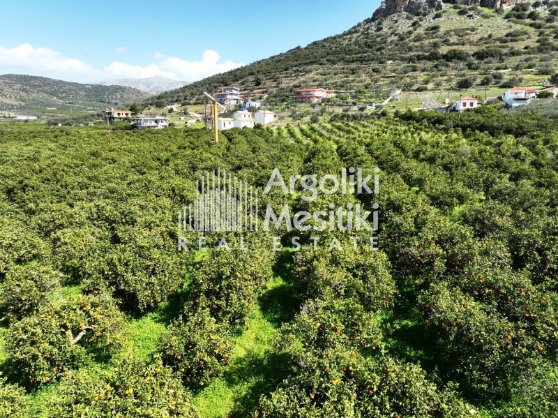 Αγροτεμάχια 5.050 τ.μ. πρός πώληση, Αργολίδα, Νέα Τίρυνθα