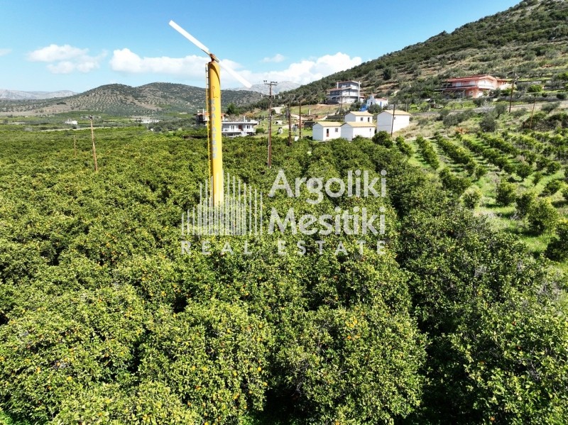 Αγροτεμάχια 5.050 τ.μ. πρός πώληση, Αργολίδα, Νέα Τίρυνθα