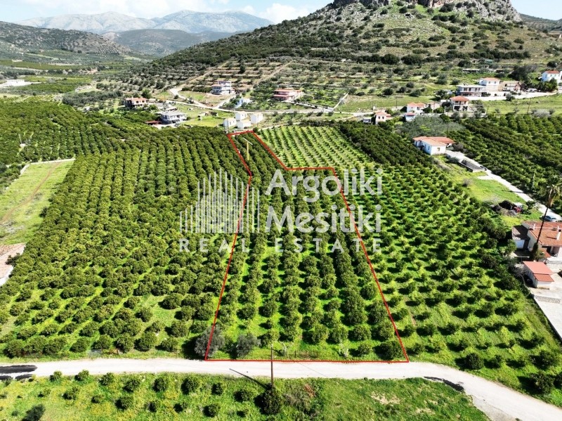 Αγροτεμάχια 5.050 τ.μ. πρός πώληση, Αργολίδα, Νέα Τίρυνθα