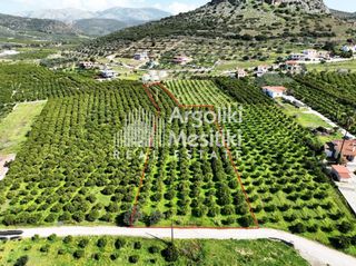 Αγροτεμάχια 5.050 τ.μ. για πώληση
