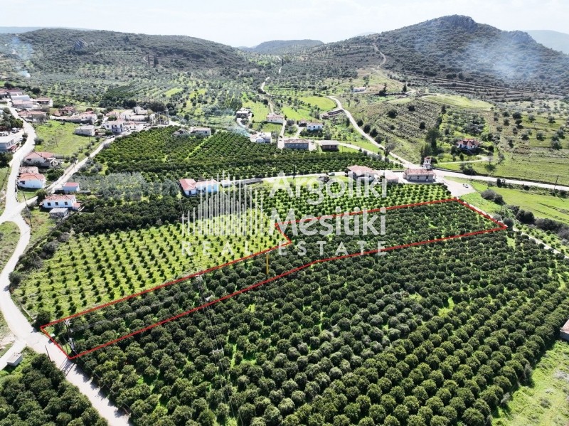 Αγροτεμάχια 5.050 τ.μ. πρός πώληση, Αργολίδα, Νέα Τίρυνθα