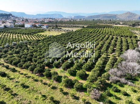 Αγροτεμάχια 10.560τ.μ. για πώληση-Νέα τίρυνθα » Άγιος αδριανός