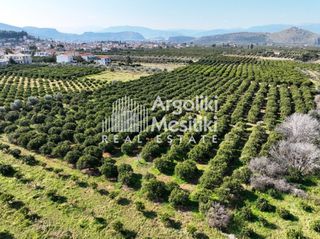 Αγροτεμάχια 10.560 τ.μ. για πώληση