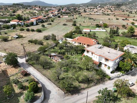 Land plot 1.333sqm for sale-Asklipieio » Ligourio