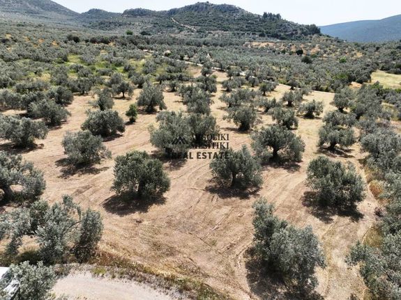 Parcel 8.400 sqm for sale, Argolis, Asklipieio