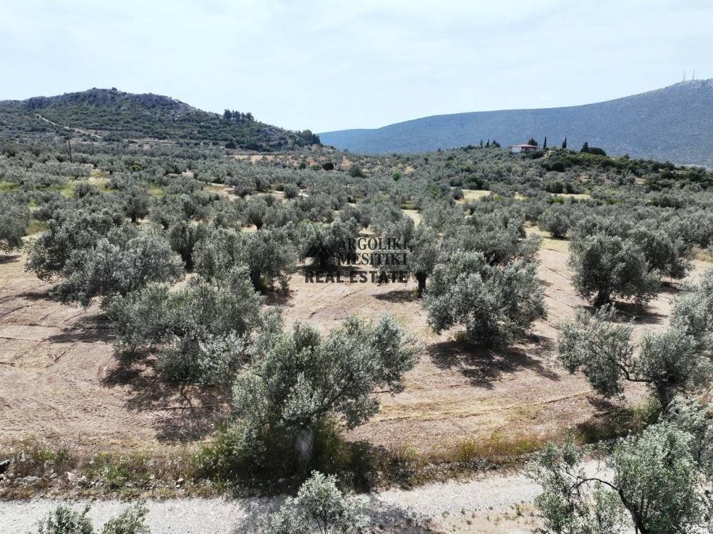 Αγροτεμάχια 8.400 τ.μ. πρός πώληση, Αργολίδα, Ασκληπιείο
