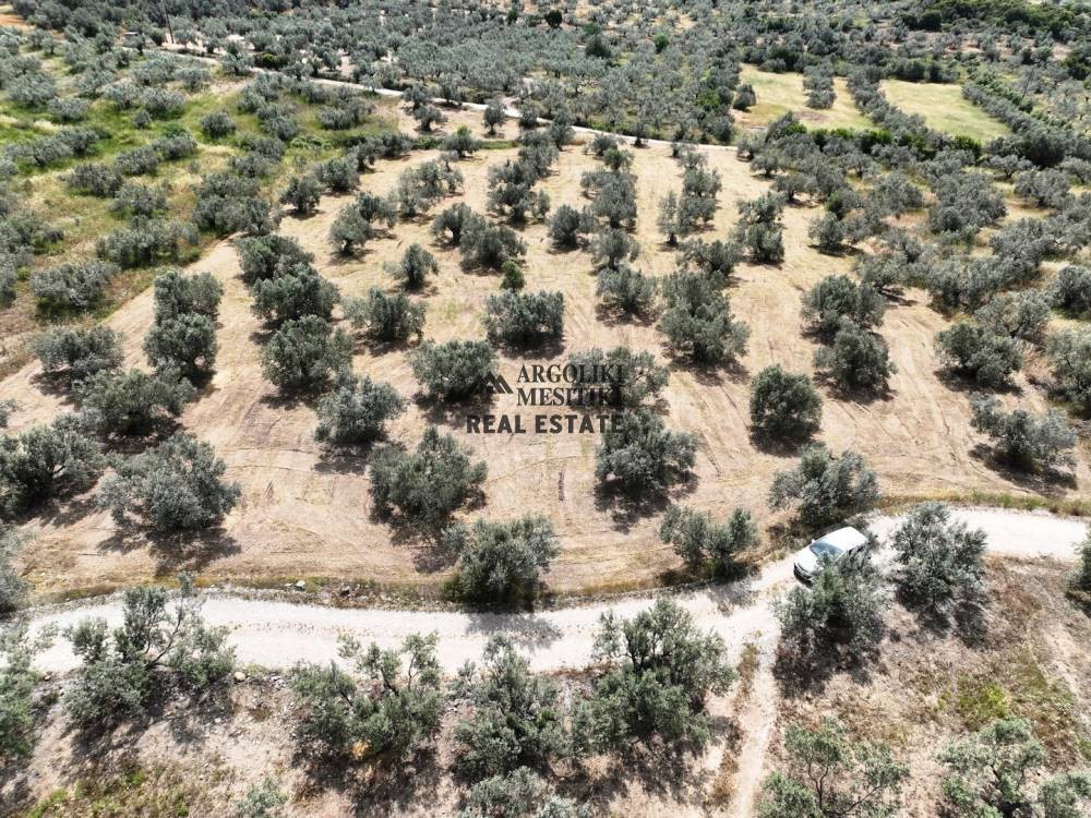Αγροτεμάχια 8.400 τ.μ. πρός πώληση, Αργολίδα, Ασκληπιείο