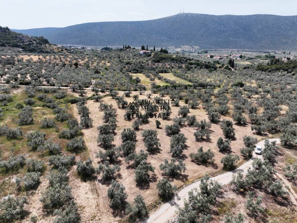 Αγροτεμάχια 8.400 τ.μ. πρός πώληση, Αργολίδα, Ασκληπιείο